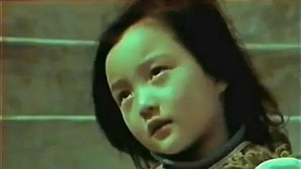 李小璐肖像