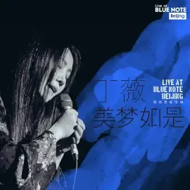 丁薇肖像